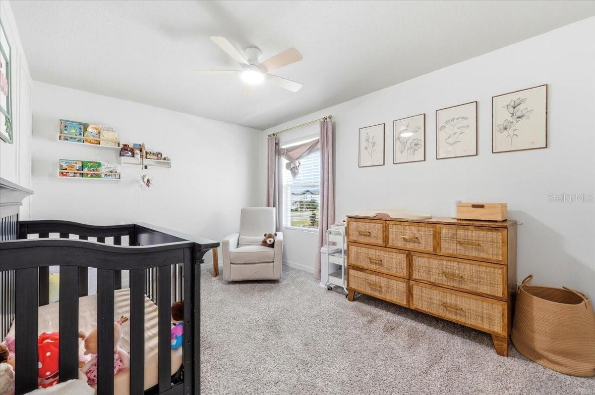 Image 16 of 29 For 511 Whistling Duck Trl