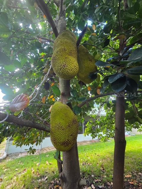 Image 55 of 55 For 632 Blenheim Loop