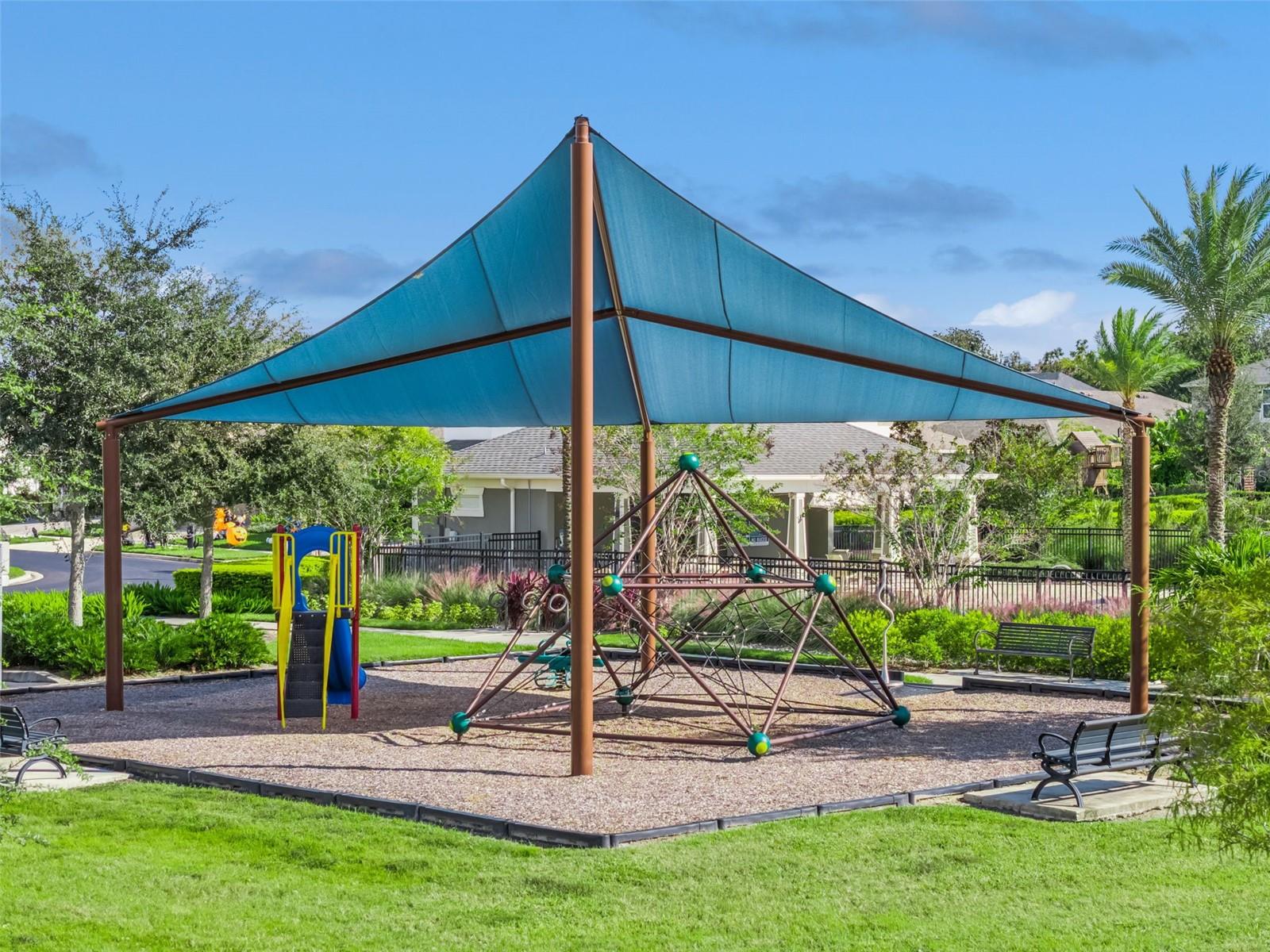 Image 51 of 71 For 2024 Cresswell Street