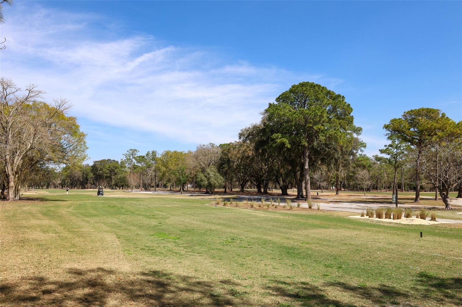 Image 54 of 72 For 1607 Pinar Drive