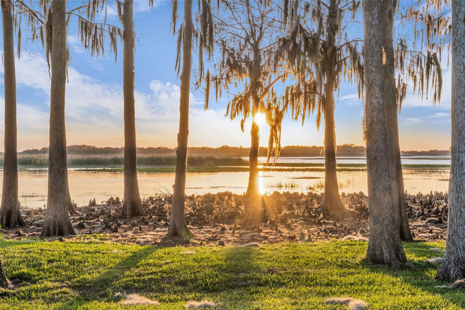 Image 56 of 82 For 1425 Riviera Drive