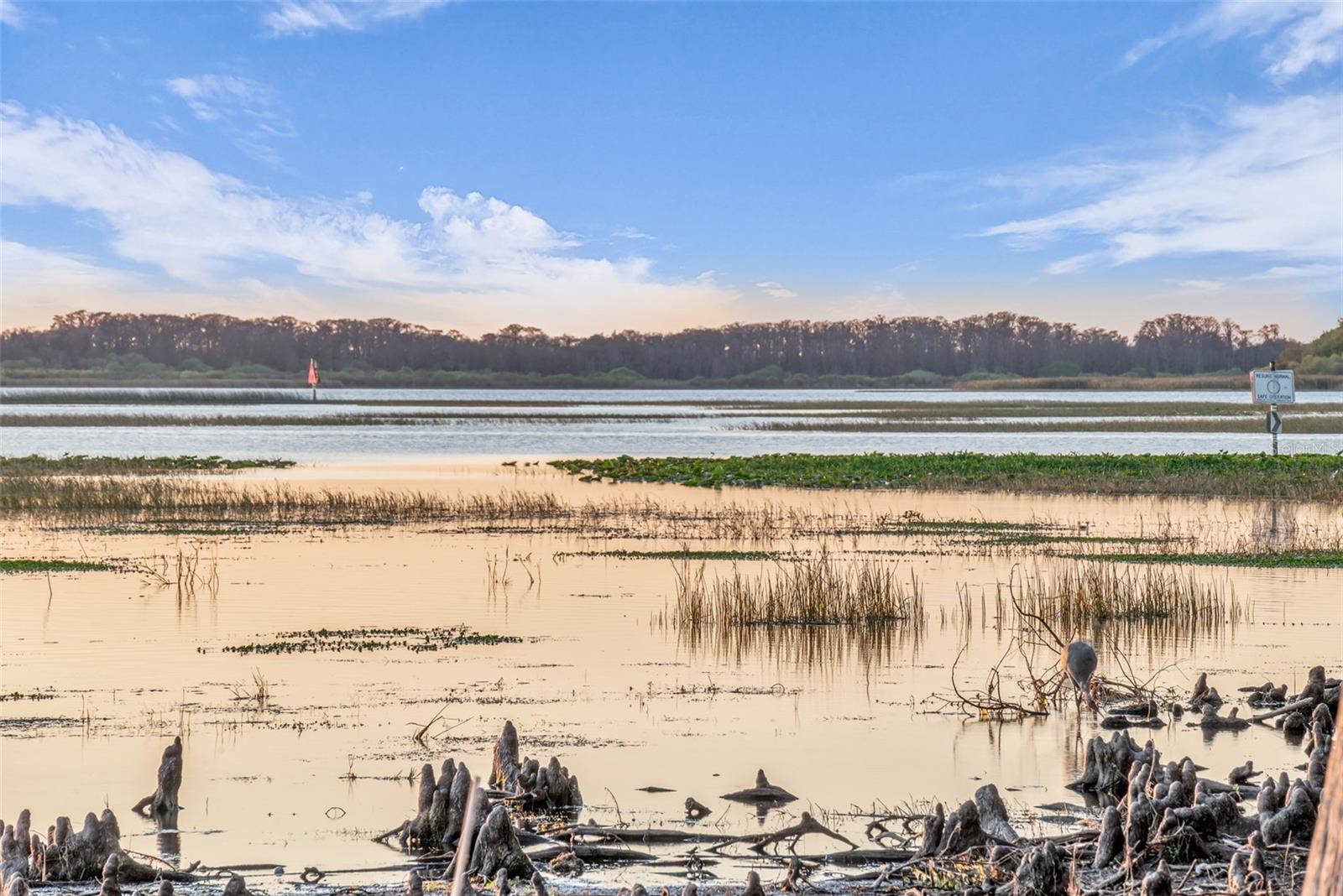 Image 58 of 82 For 1425 Riviera Drive