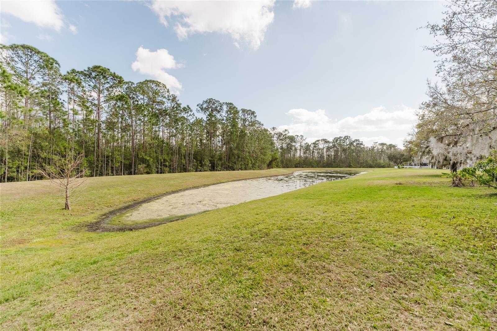 Image 47 of 60 For 8563 Greenbank Boulevard