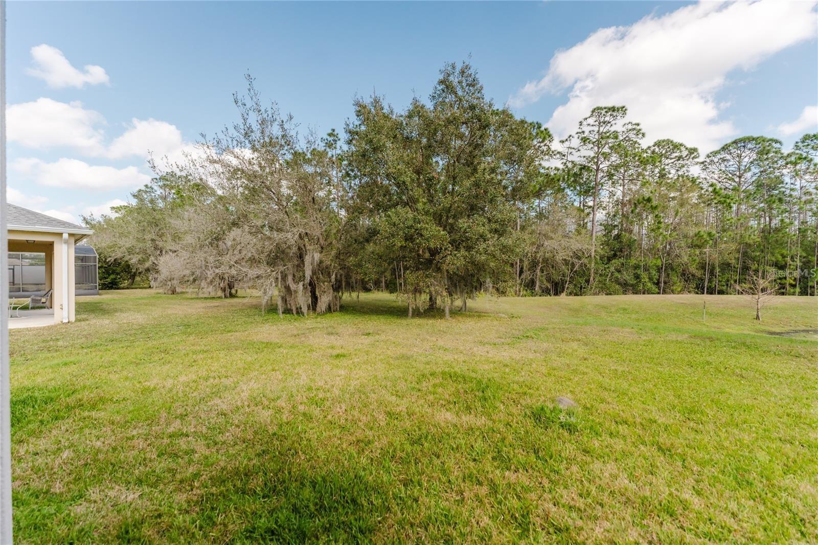 Image 51 of 60 For 8563 Greenbank Boulevard