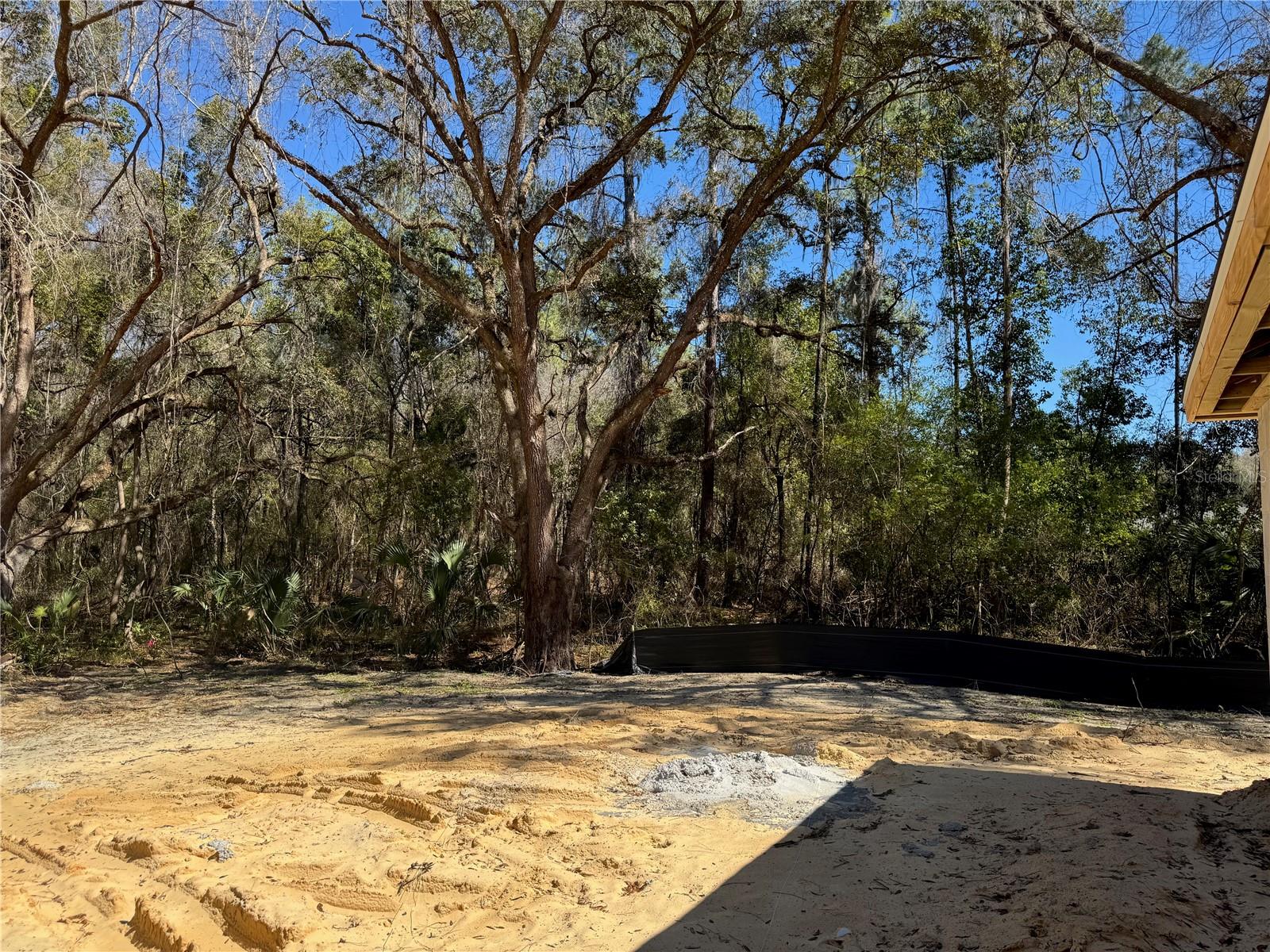 Image 48 of 53 For 411 Eridani Court