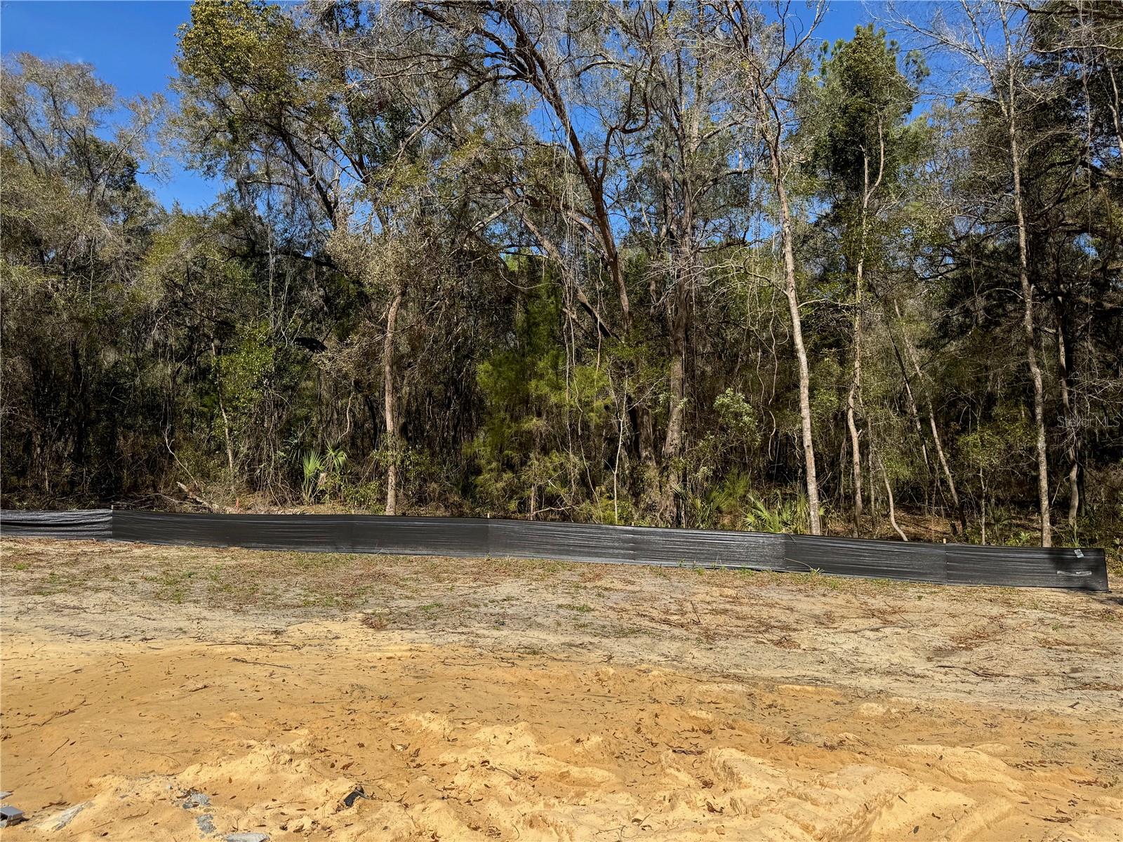 Image 49 of 53 For 411 Eridani Court