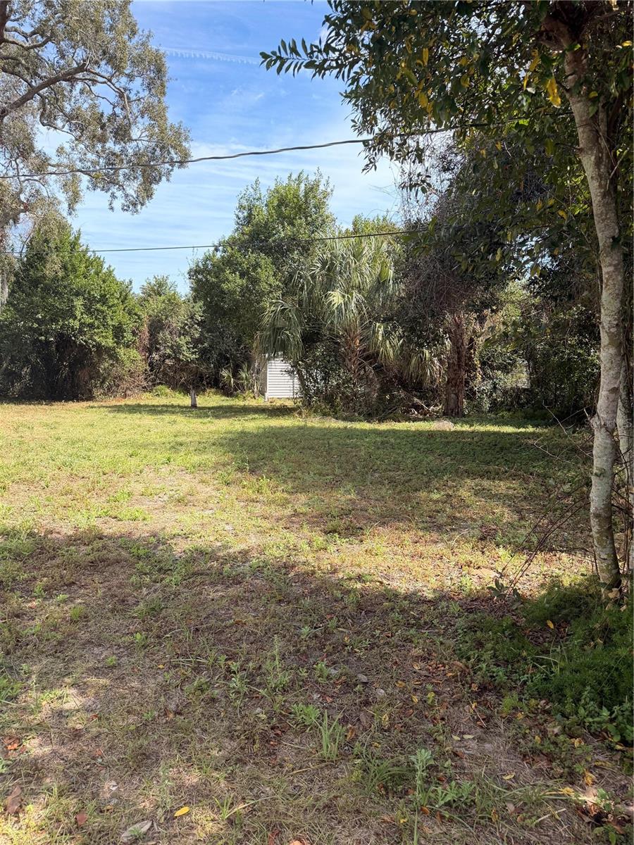 Image 19 of 23 For 1129 Holly Avenue