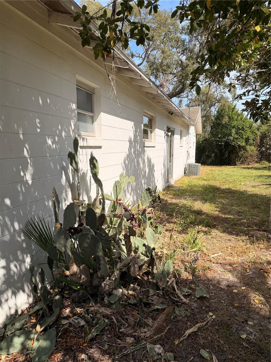 Image 20 of 23 For 1129 Holly Avenue