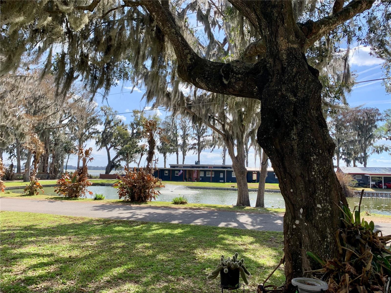 Image 30 of 34 For 31928 Harris Road