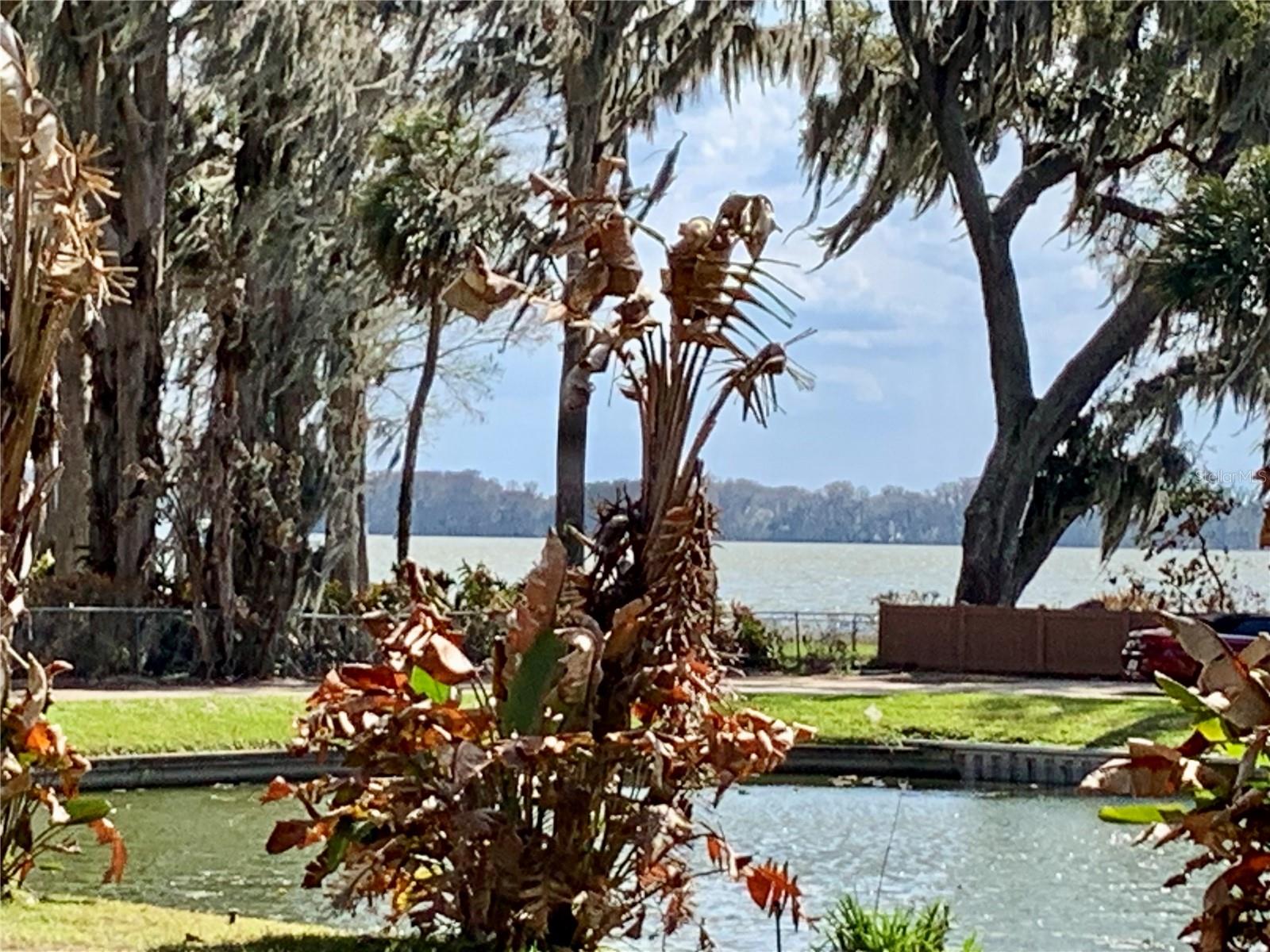 Image 31 of 34 For 31928 Harris Road