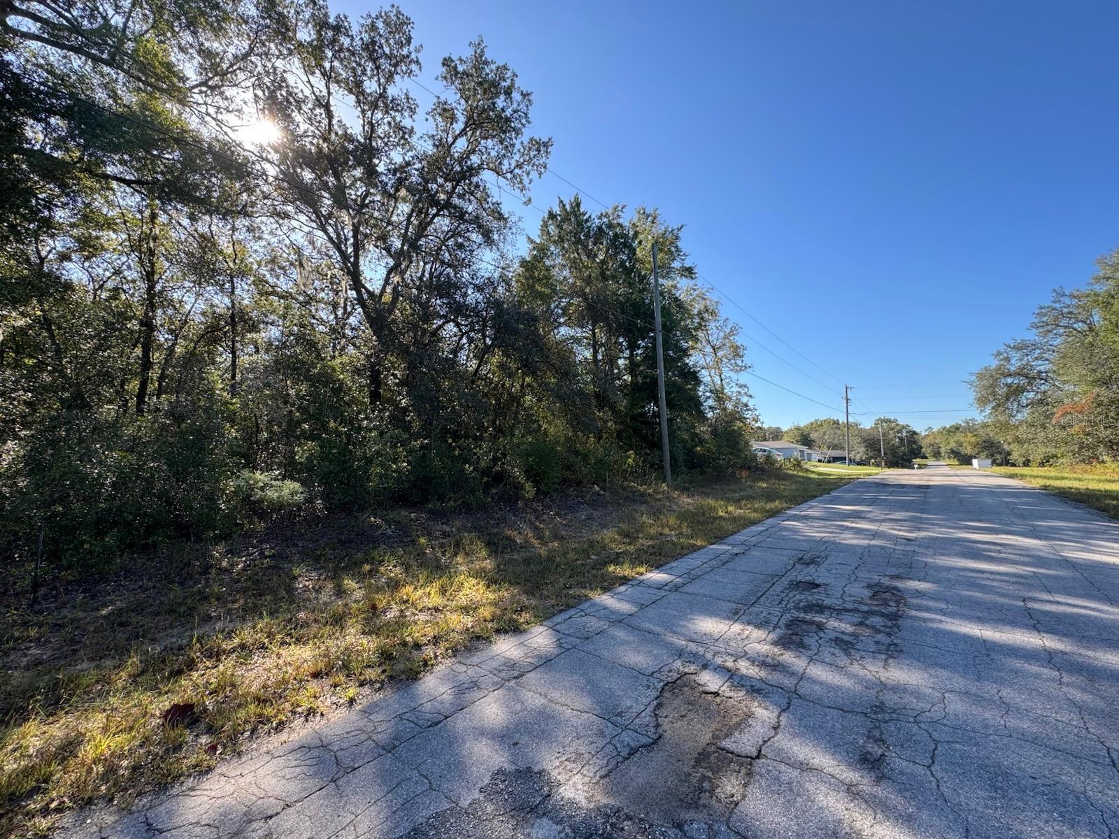 Image 4 of 10 For 10241 Halsey Way