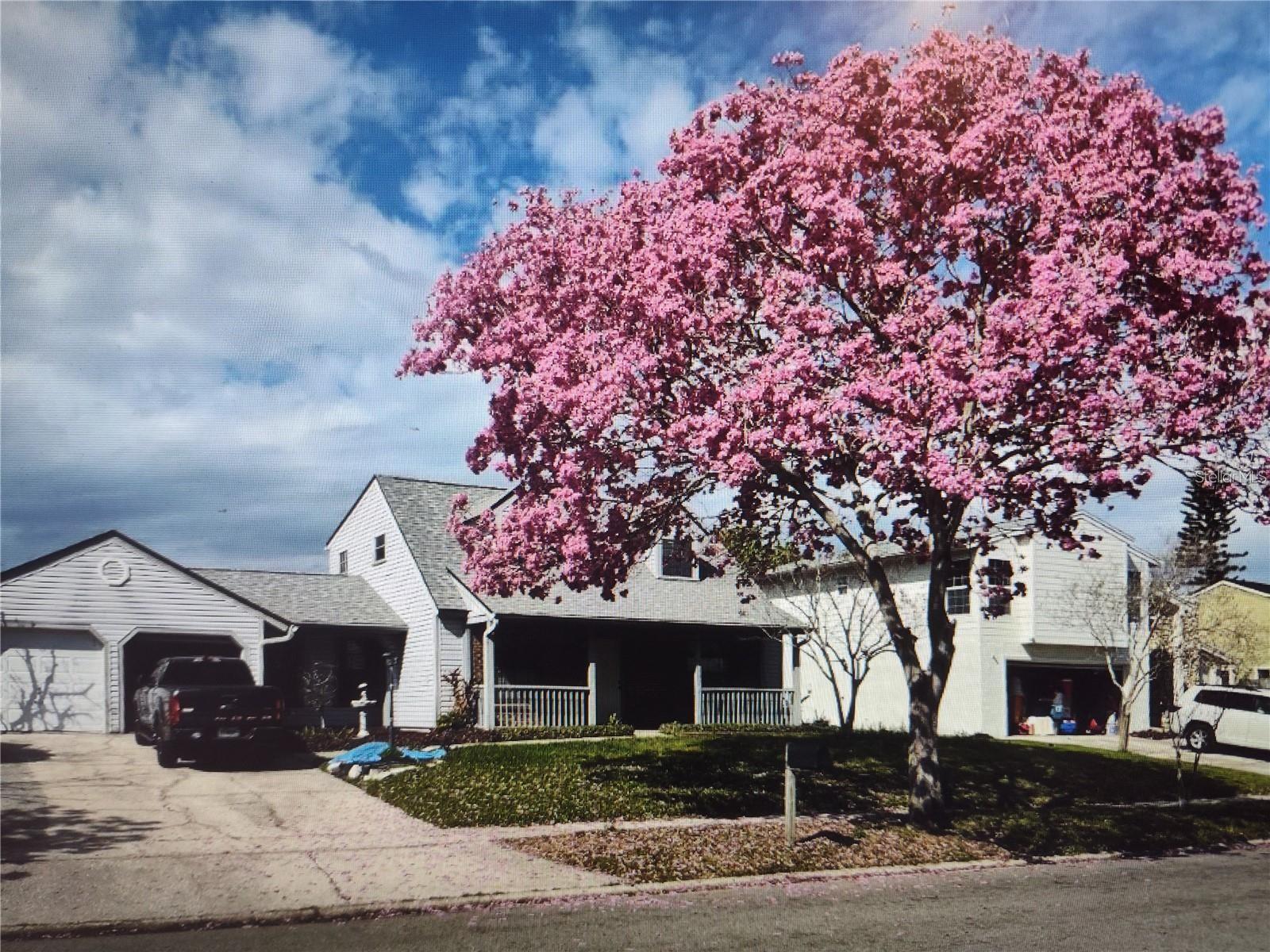 Image 3 of 54 For 8850 Pine Bay Court