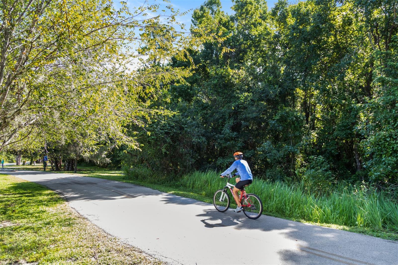 Image 26 of 35 For 189 Bear Springs Drive