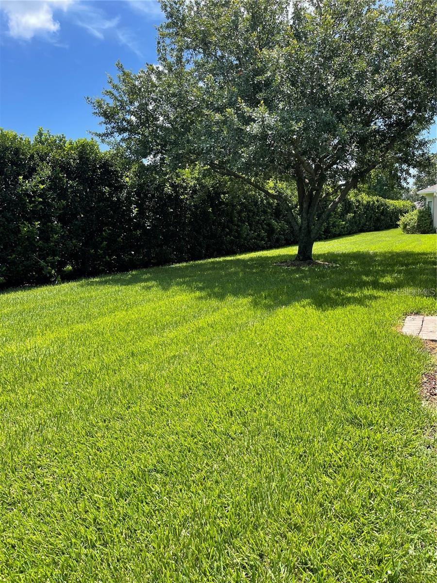 Image 21 of 21 For 3249 River Branch Circle