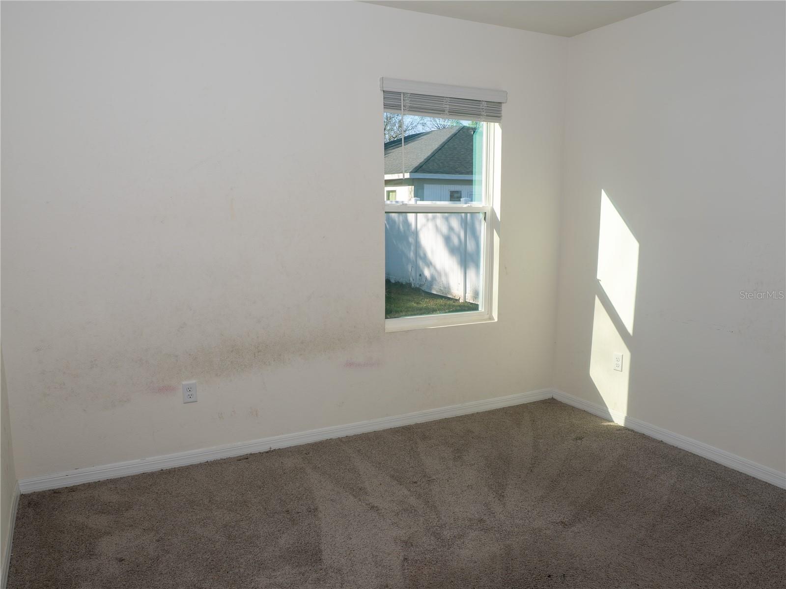 Image 10 of 48 For 41 Dorset Drive