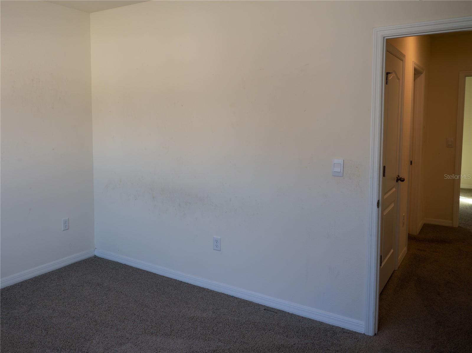 Image 11 of 48 For 41 Dorset Drive