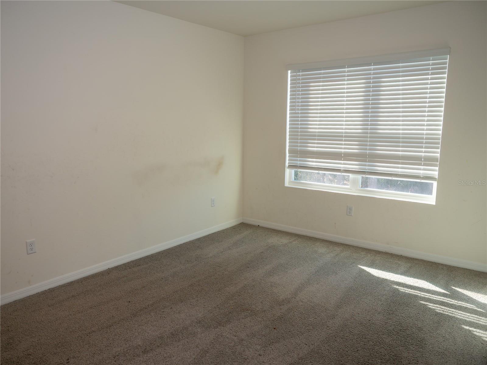 Image 17 of 48 For 41 Dorset Drive