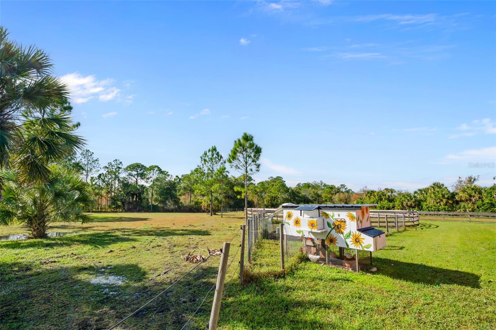 Image 63 of 79 For 3262 Pheasant Trail