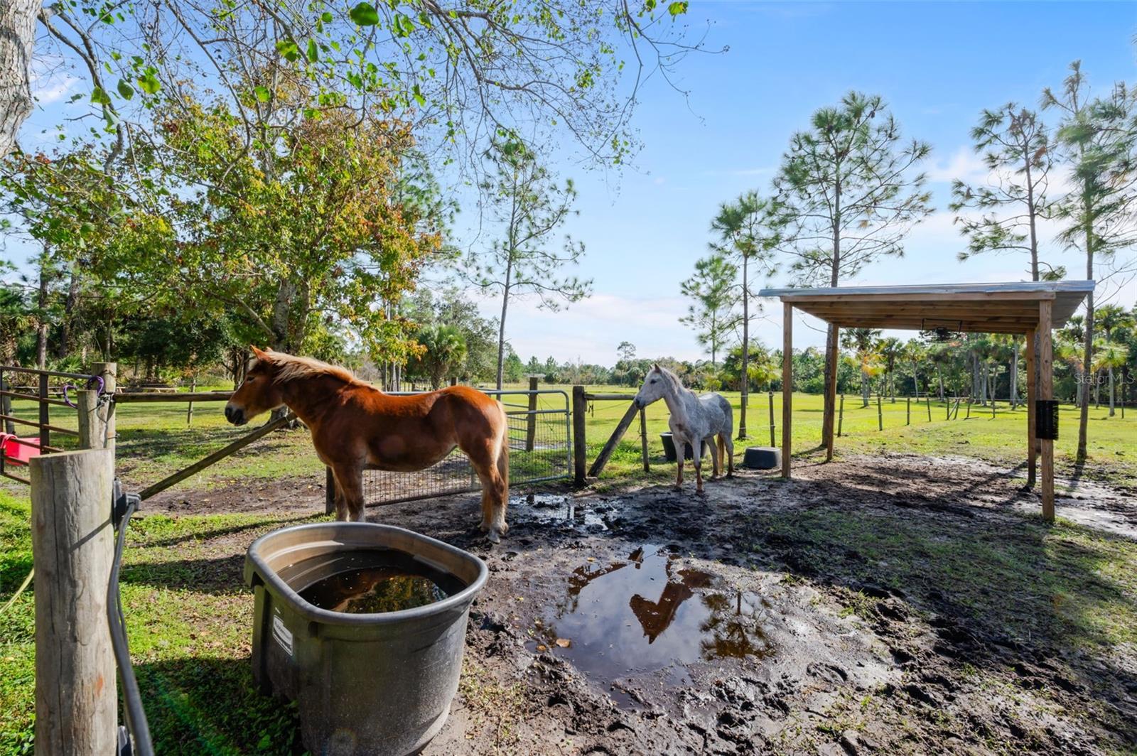 Image 75 of 79 For 3262 Pheasant Trail