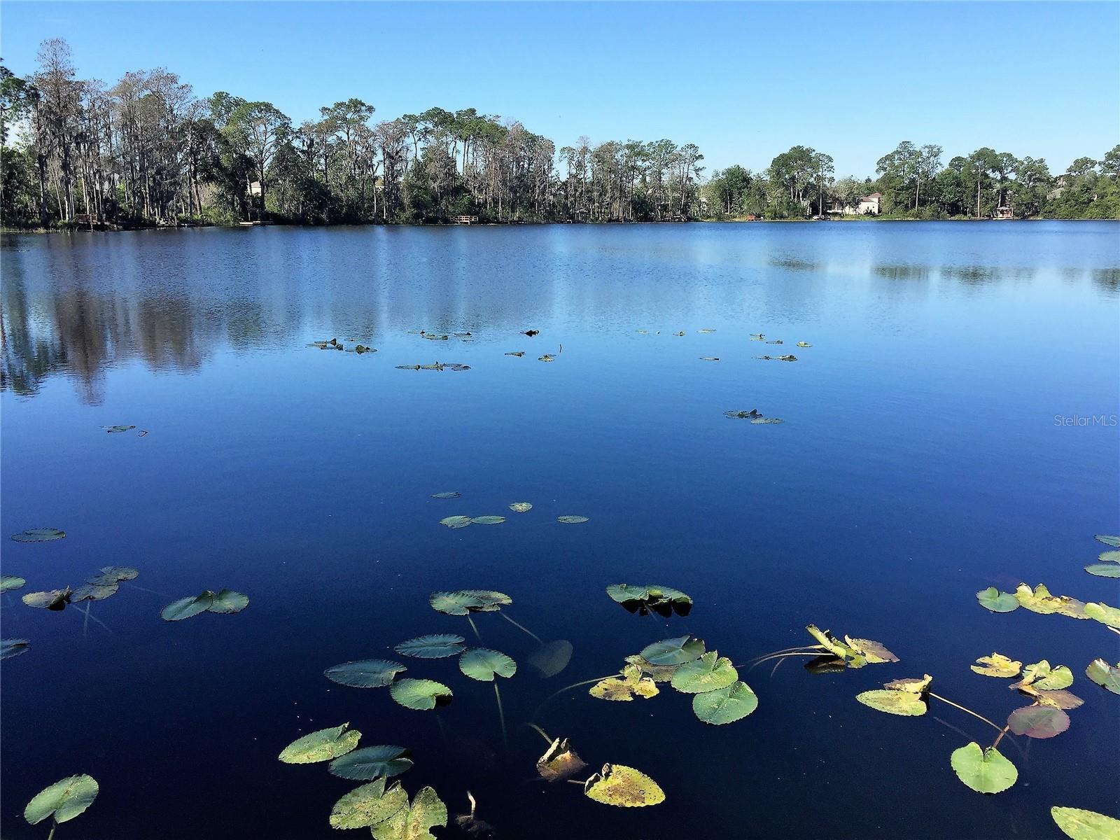 Image 2 of 28 For 10040 Crystalline Court