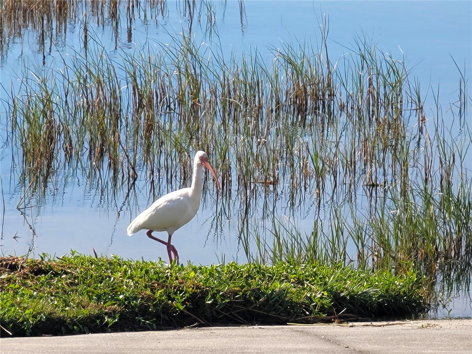 Image 49 of 52 For 4829 Summit View Way