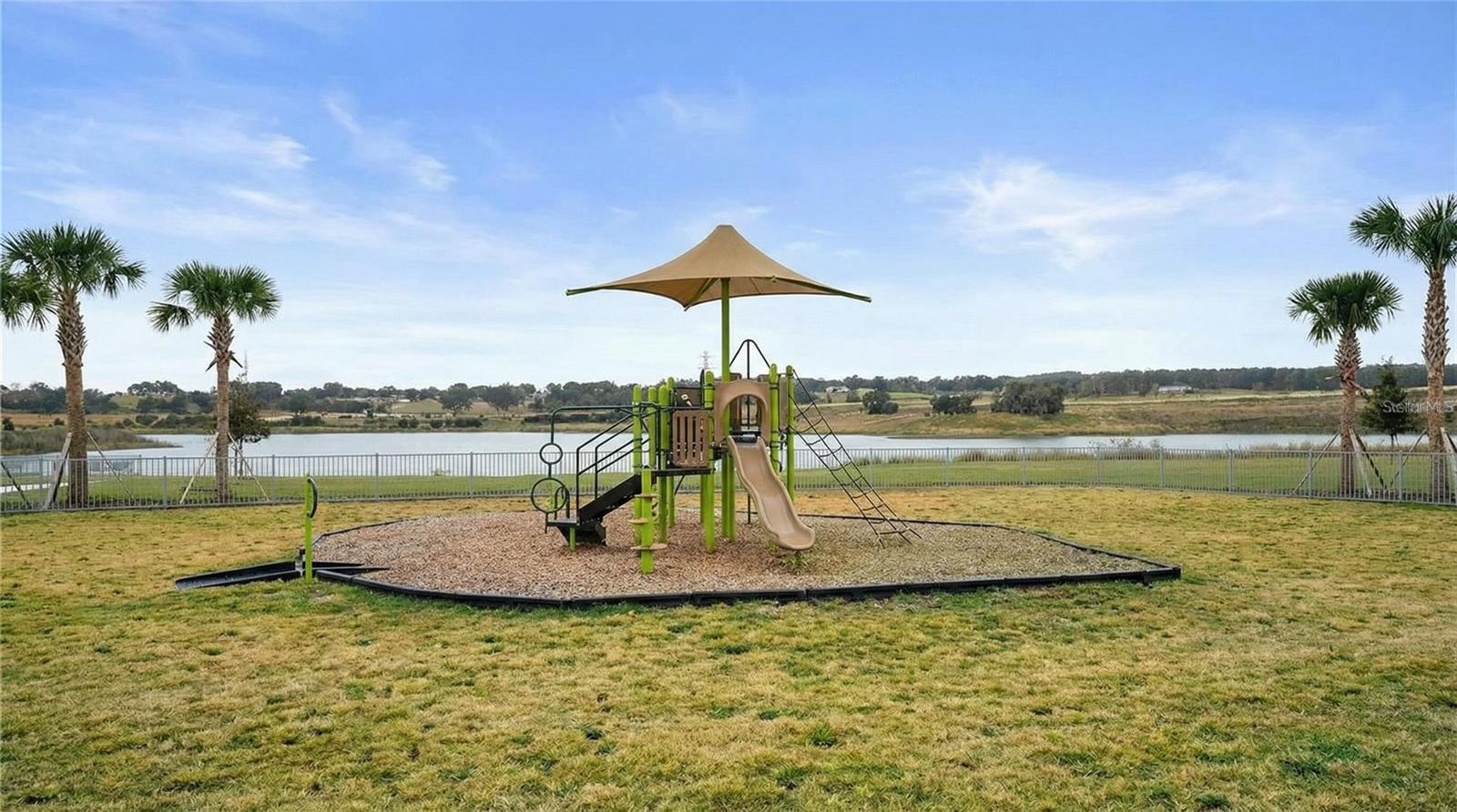 Image 43 of 43 For 2980 Angelonia Thorn Way