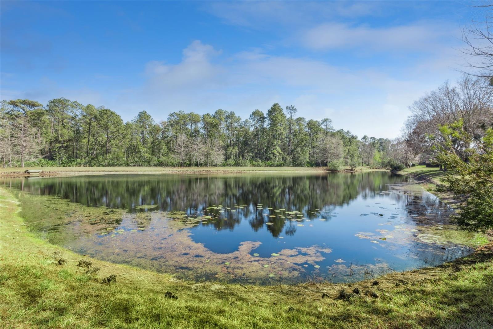 Image 40 of 66 For 208 Avenham Drive