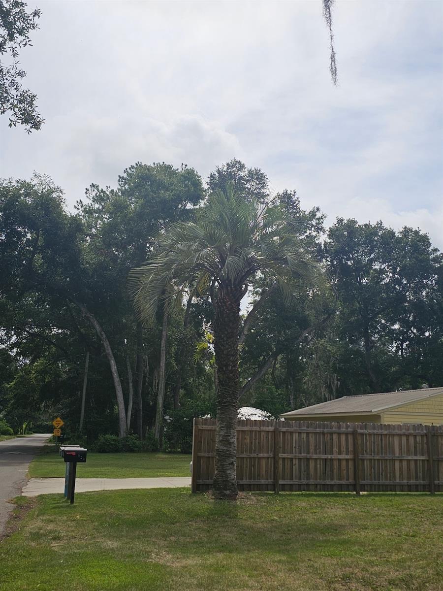 Image 19 of 23 For 903 33rd Avenue