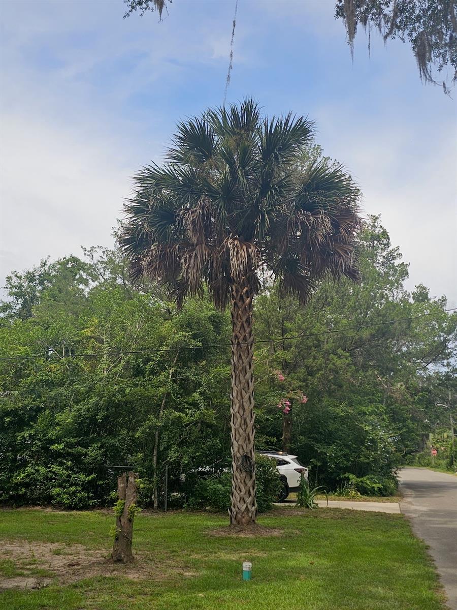 Image 20 of 23 For 903 33rd Avenue