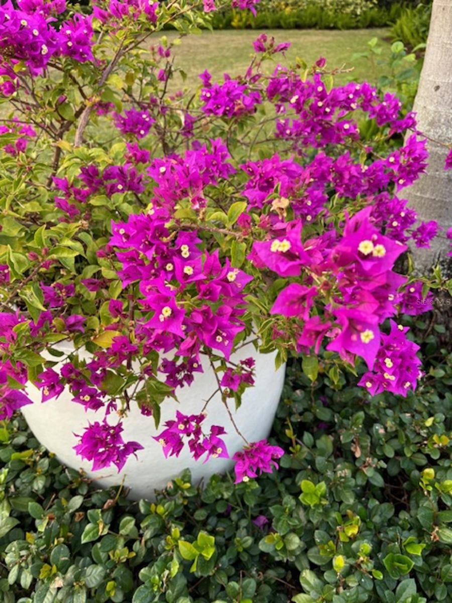 Image 45 of 45 For 6113 Payne Stewart Drive