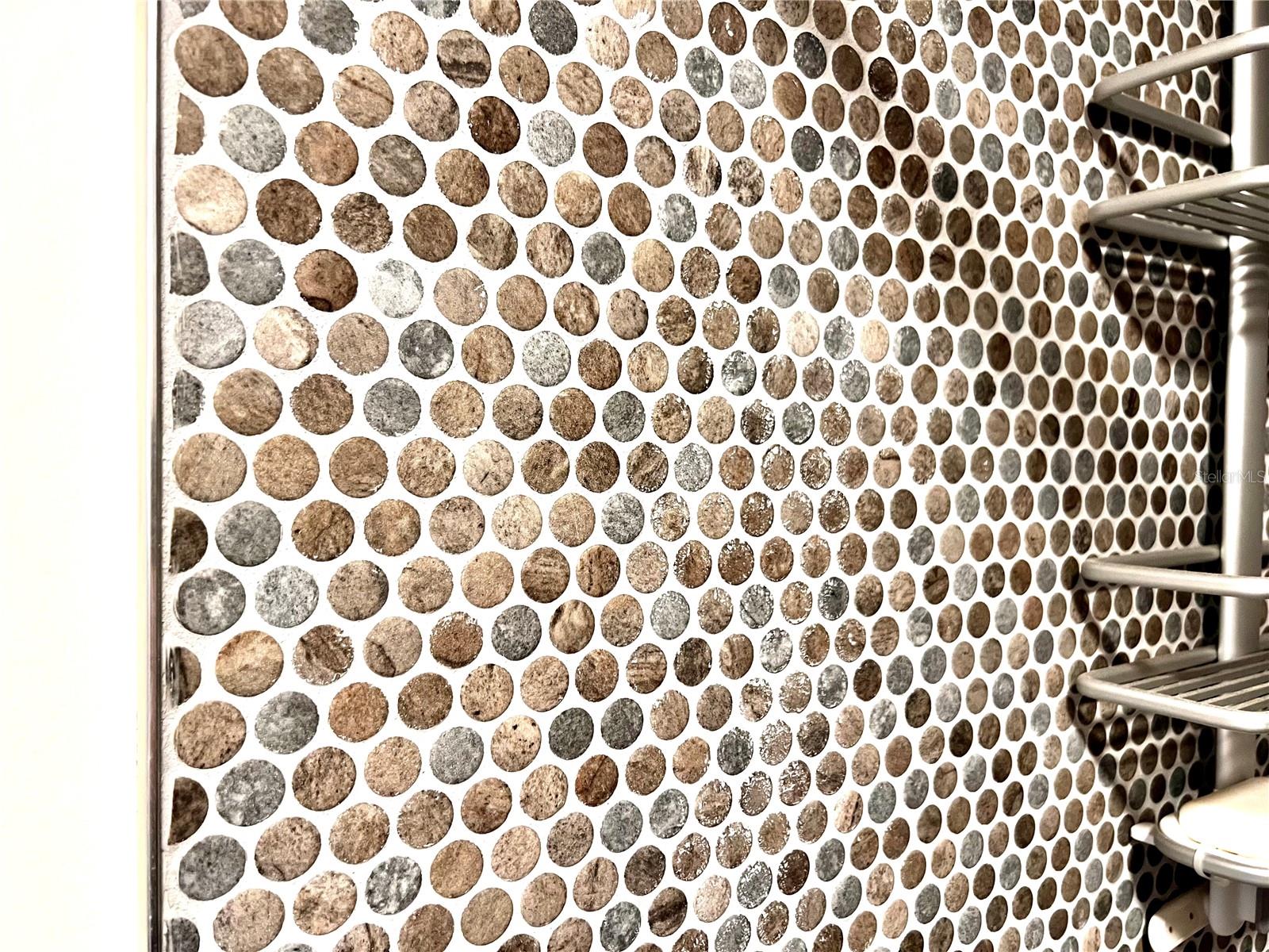 Image 11 of 18 For 8300 Bardmoor Boulevard 105