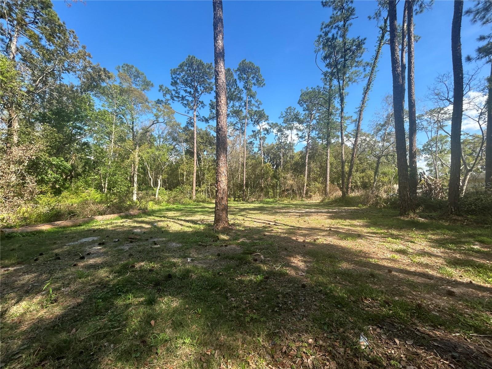 Image 2 of 4 For 2648 Park Avenue