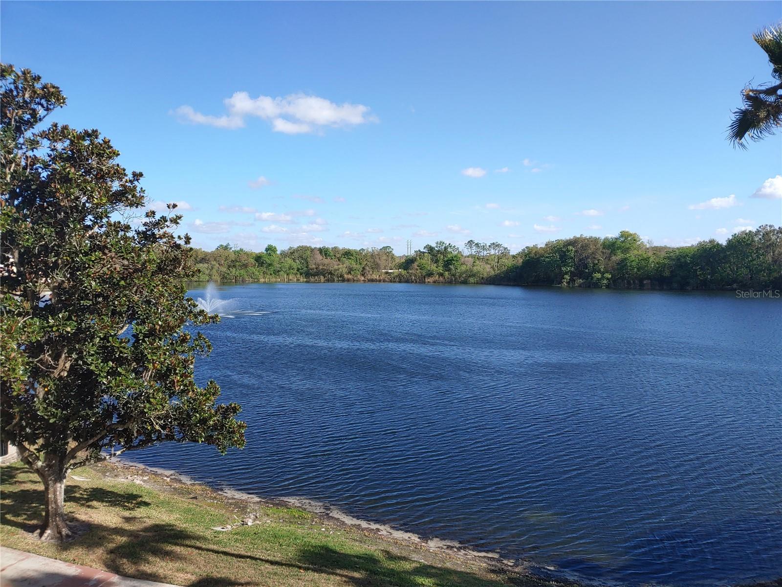 Image 13 of 15 For 1969 Summer Club Drive 311