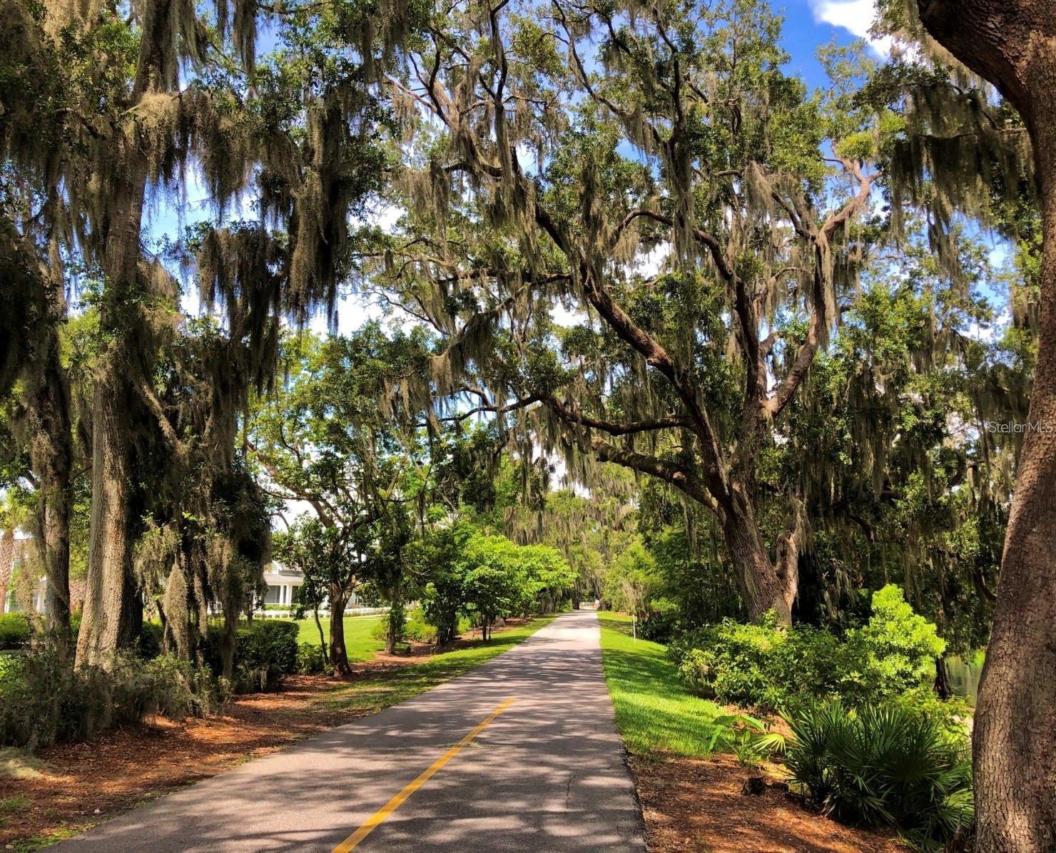 Image 56 of 63 For 1075 Chase Drive