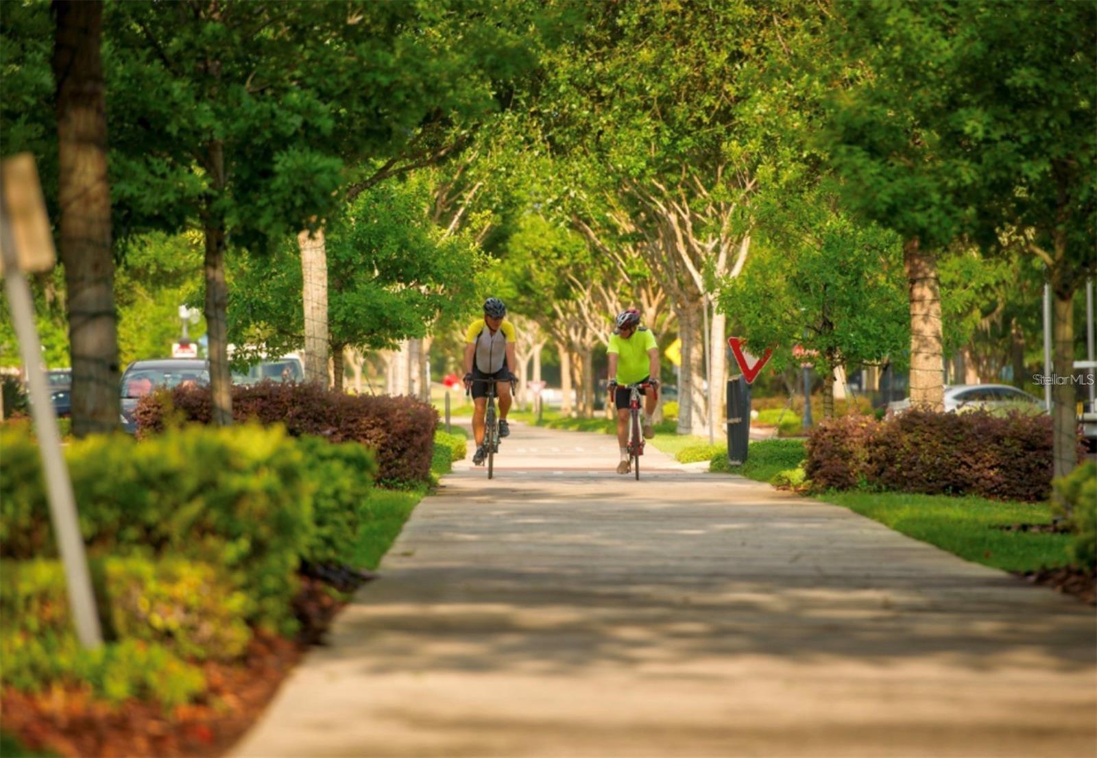 Image 61 of 63 For 1075 Chase Drive