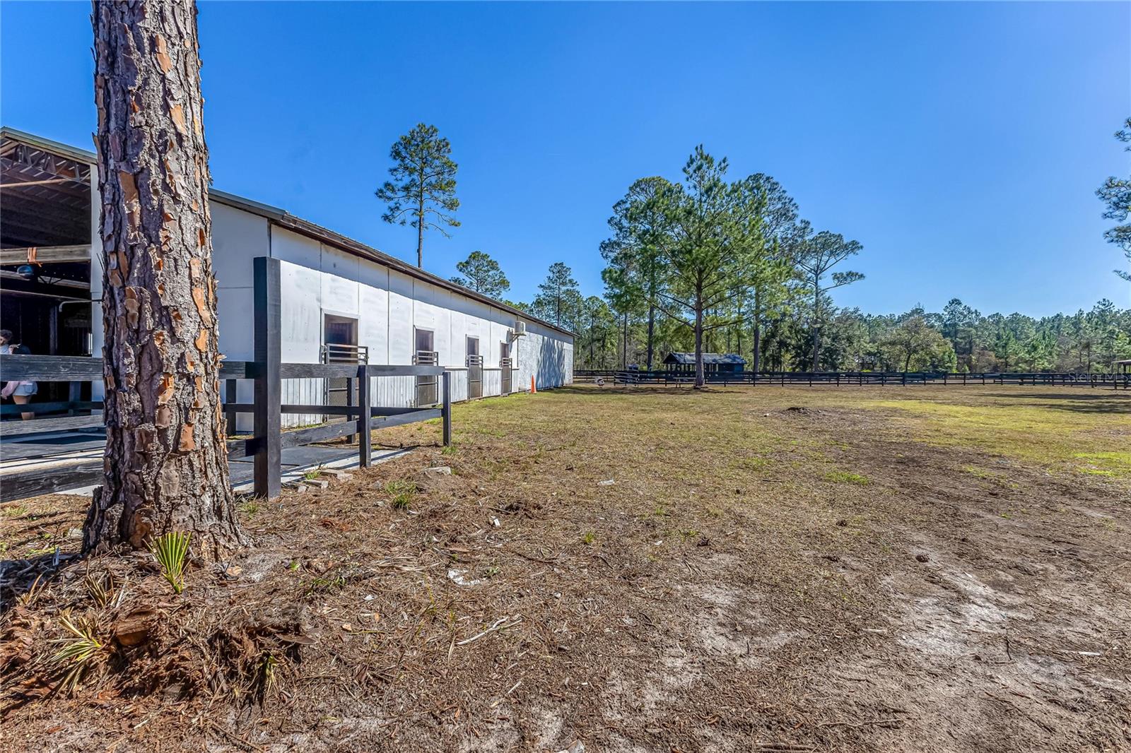 Image 45 of 66 For 34175 Steeple Chase Way