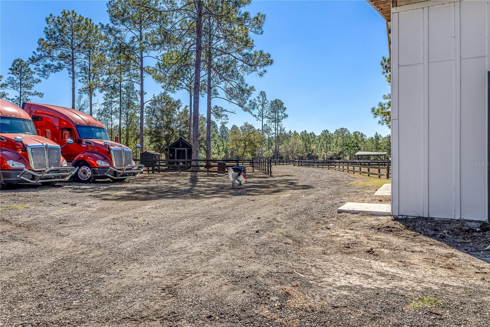 Image 53 of 66 For 34175 Steeple Chase Way