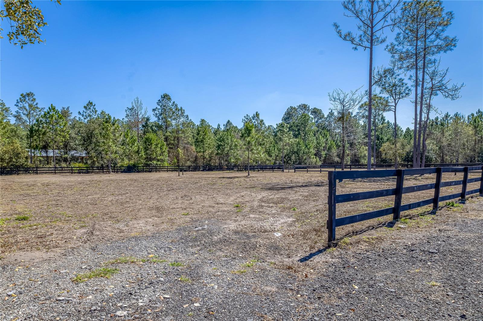 Image 54 of 66 For 34175 Steeple Chase Way