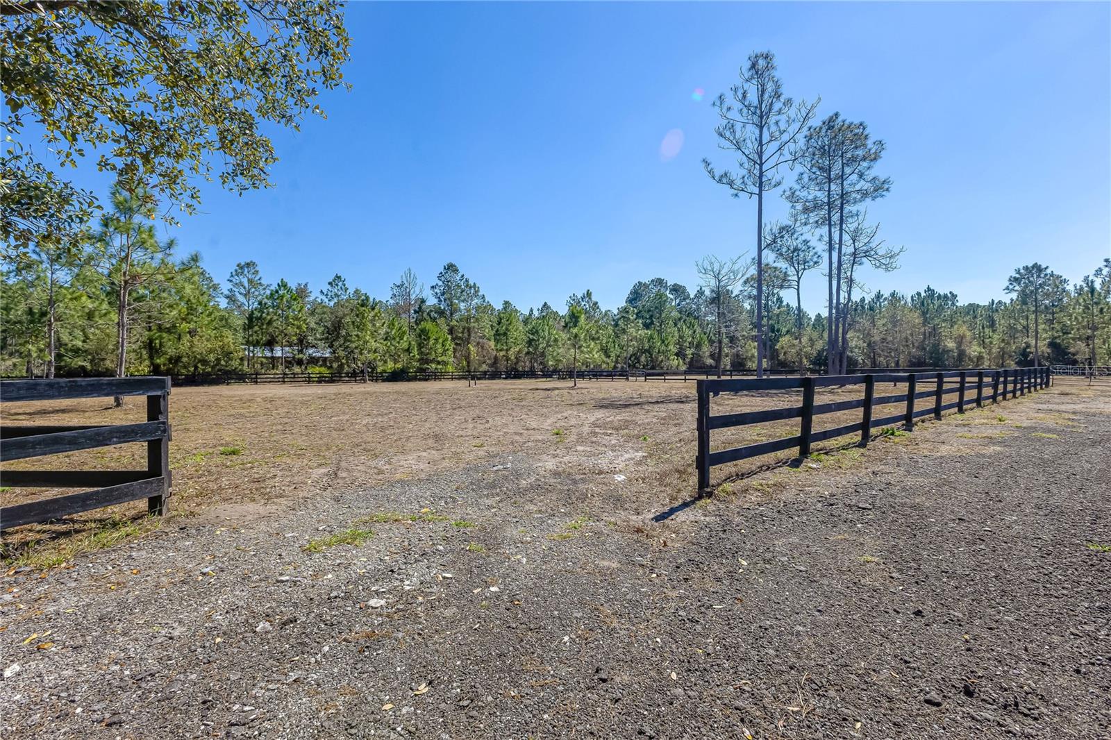 Image 56 of 66 For 34175 Steeple Chase Way