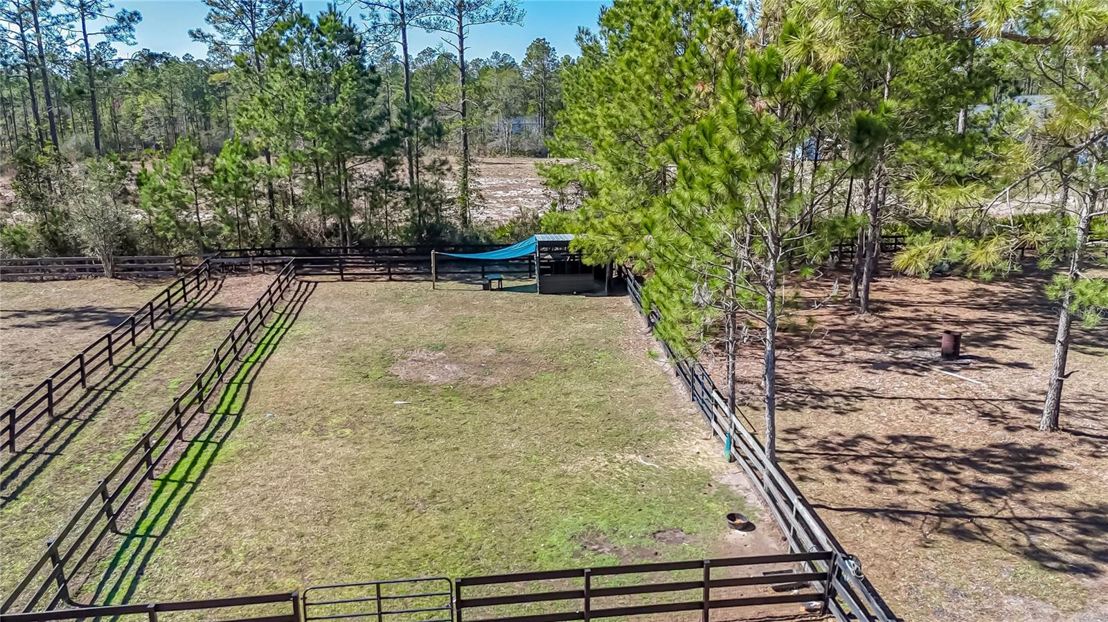 Image 59 of 66 For 34175 Steeple Chase Way