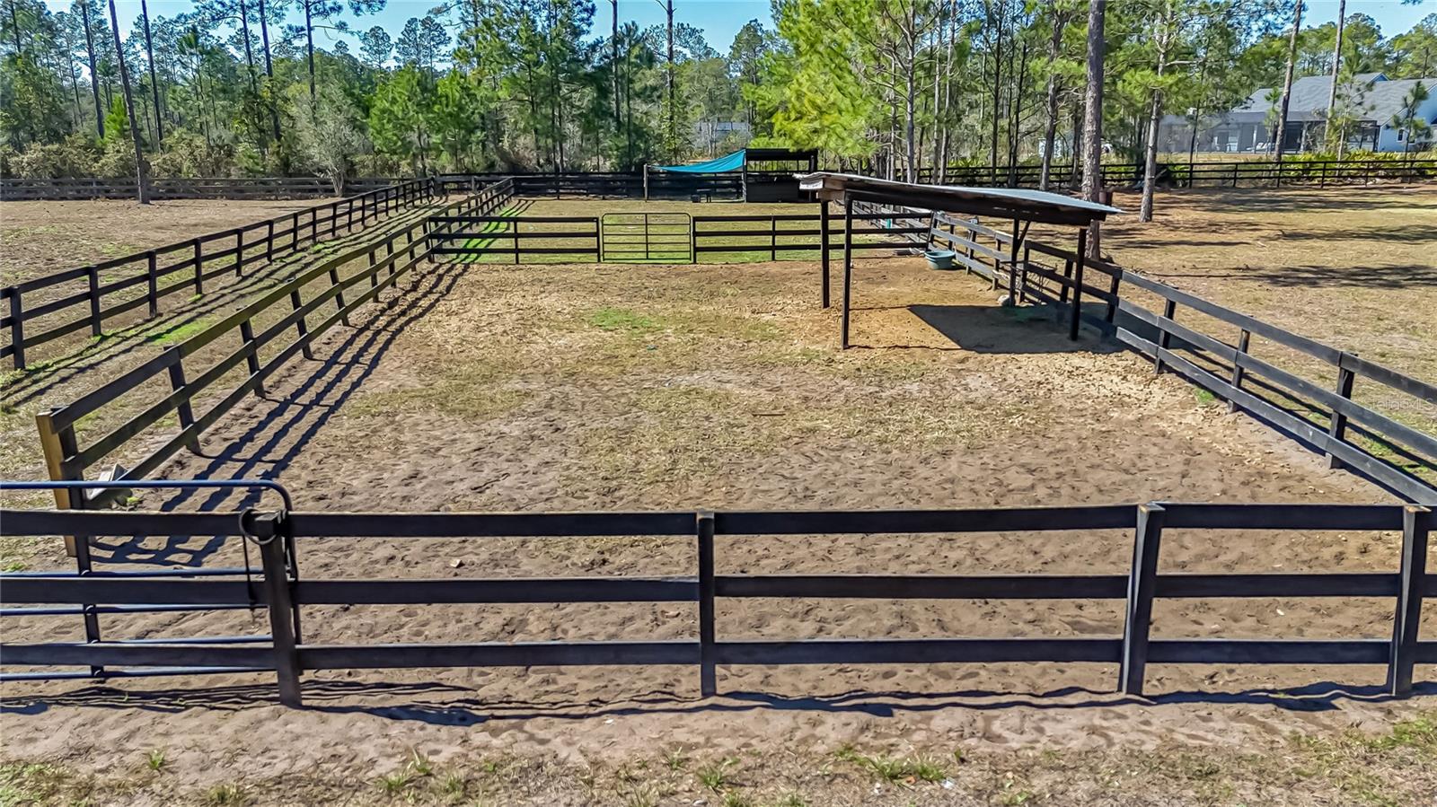 Image 60 of 66 For 34175 Steeple Chase Way