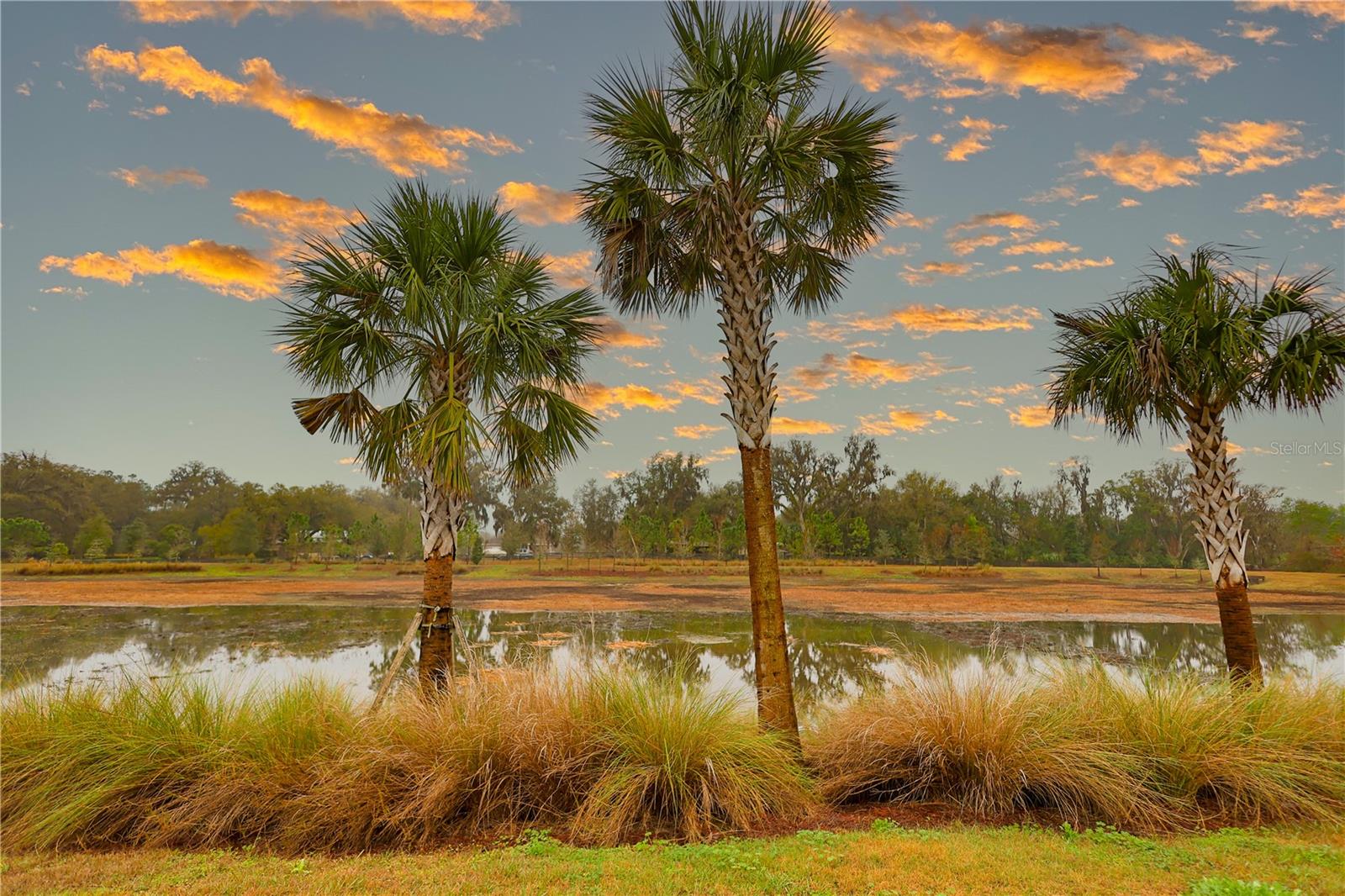 Image 10 of 48 For 4714 Wightman Circle