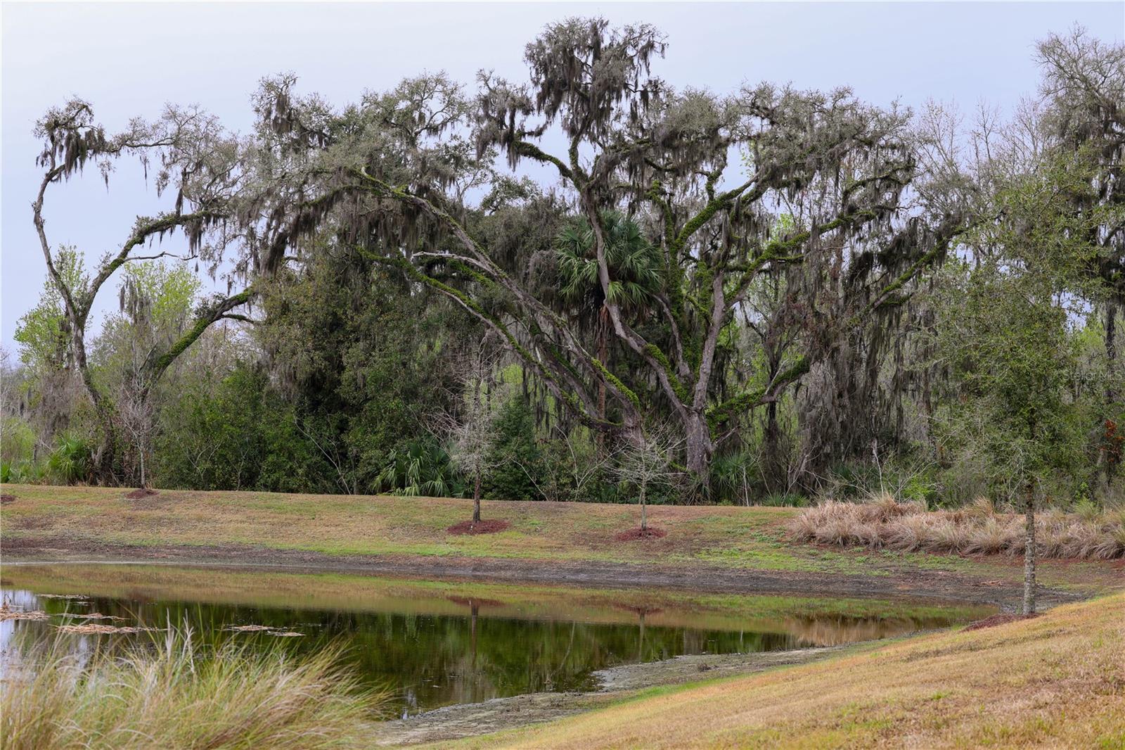 Image 42 of 48 For 4714 Wightman Circle