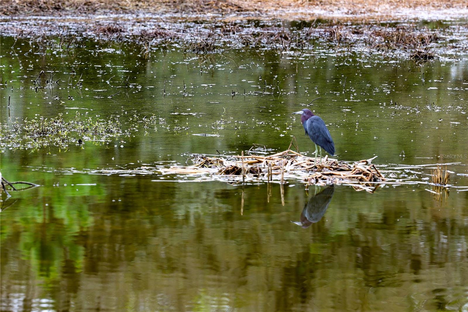 Image 44 of 48 For 4714 Wightman Circle