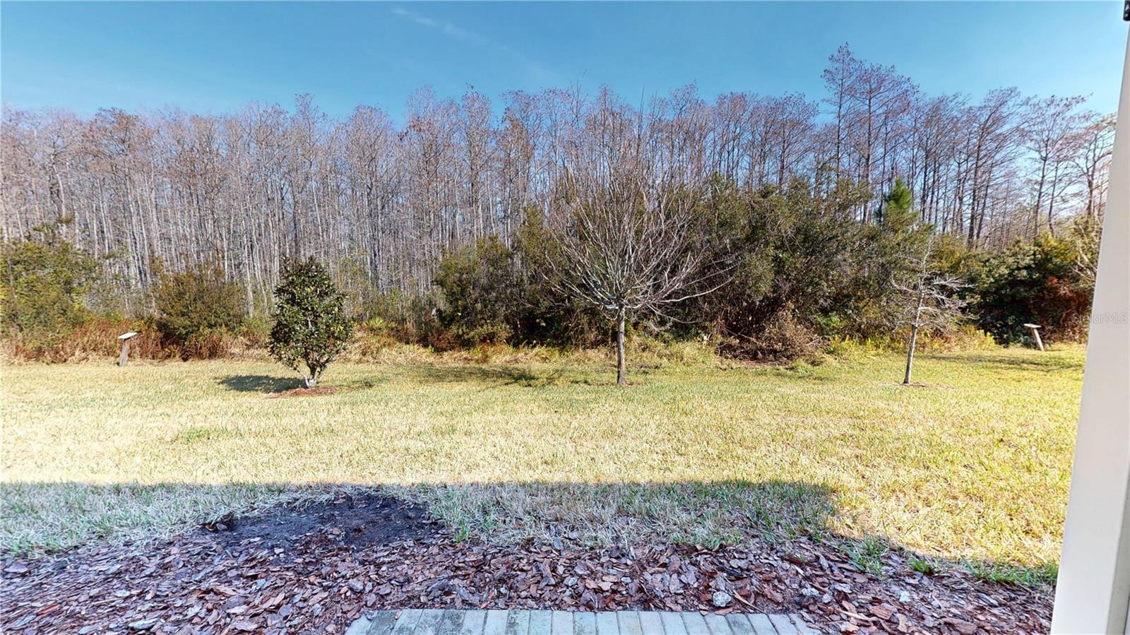 Image 14 of 15 For 2535 Sedge Grass Way