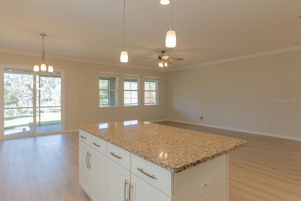 Image 13 of 47 For 15862 Citrus Grove Loop