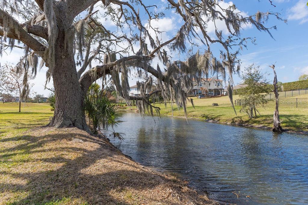 Image 26 of 47 For 15862 Citrus Grove Loop