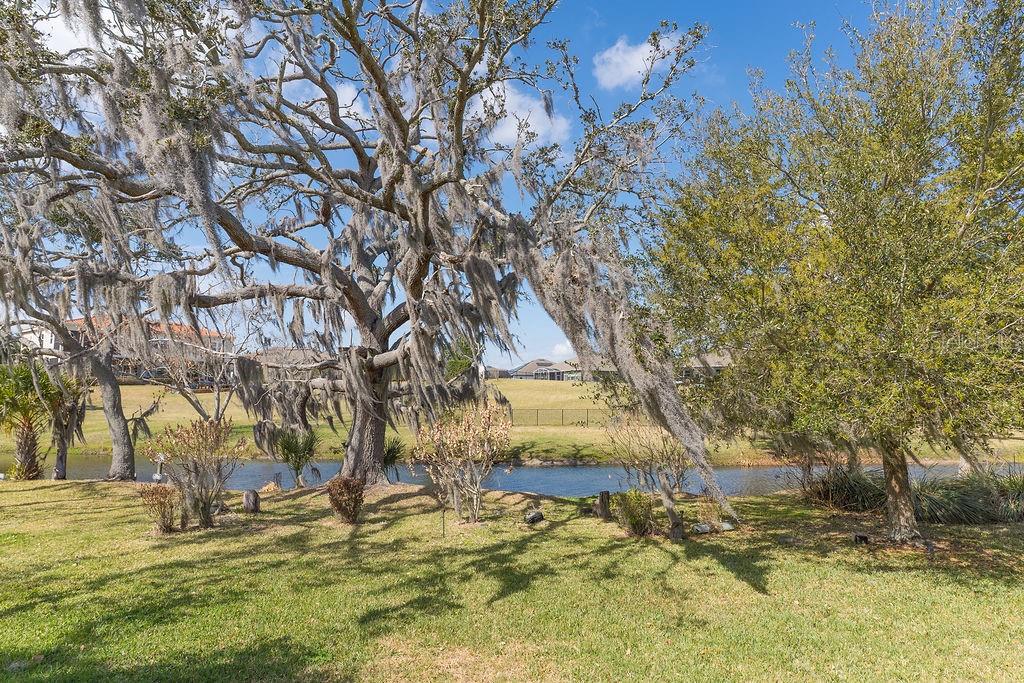 Image 30 of 47 For 15862 Citrus Grove Loop