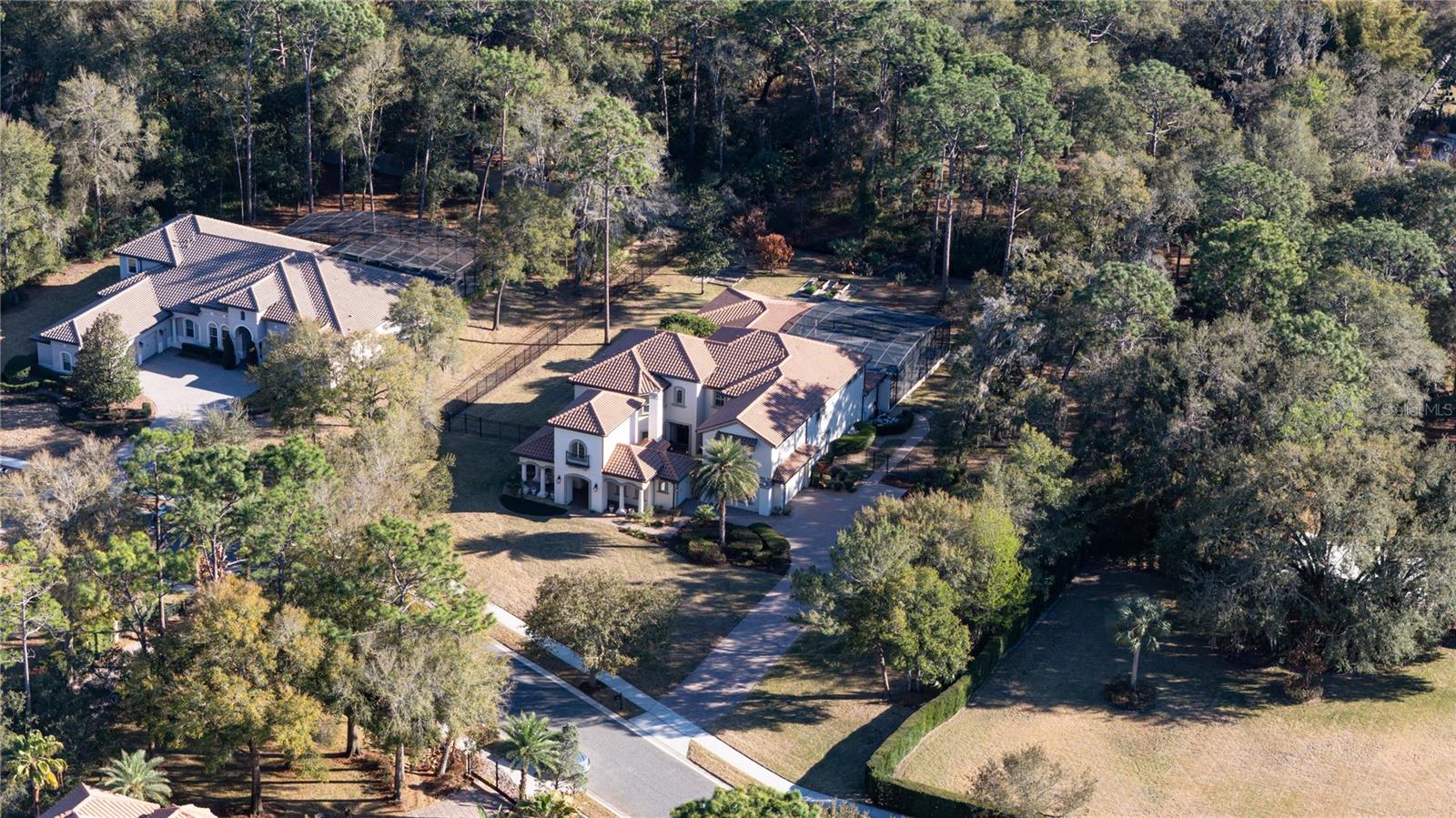 Image 70 of 70 For 217 Arezzo Court