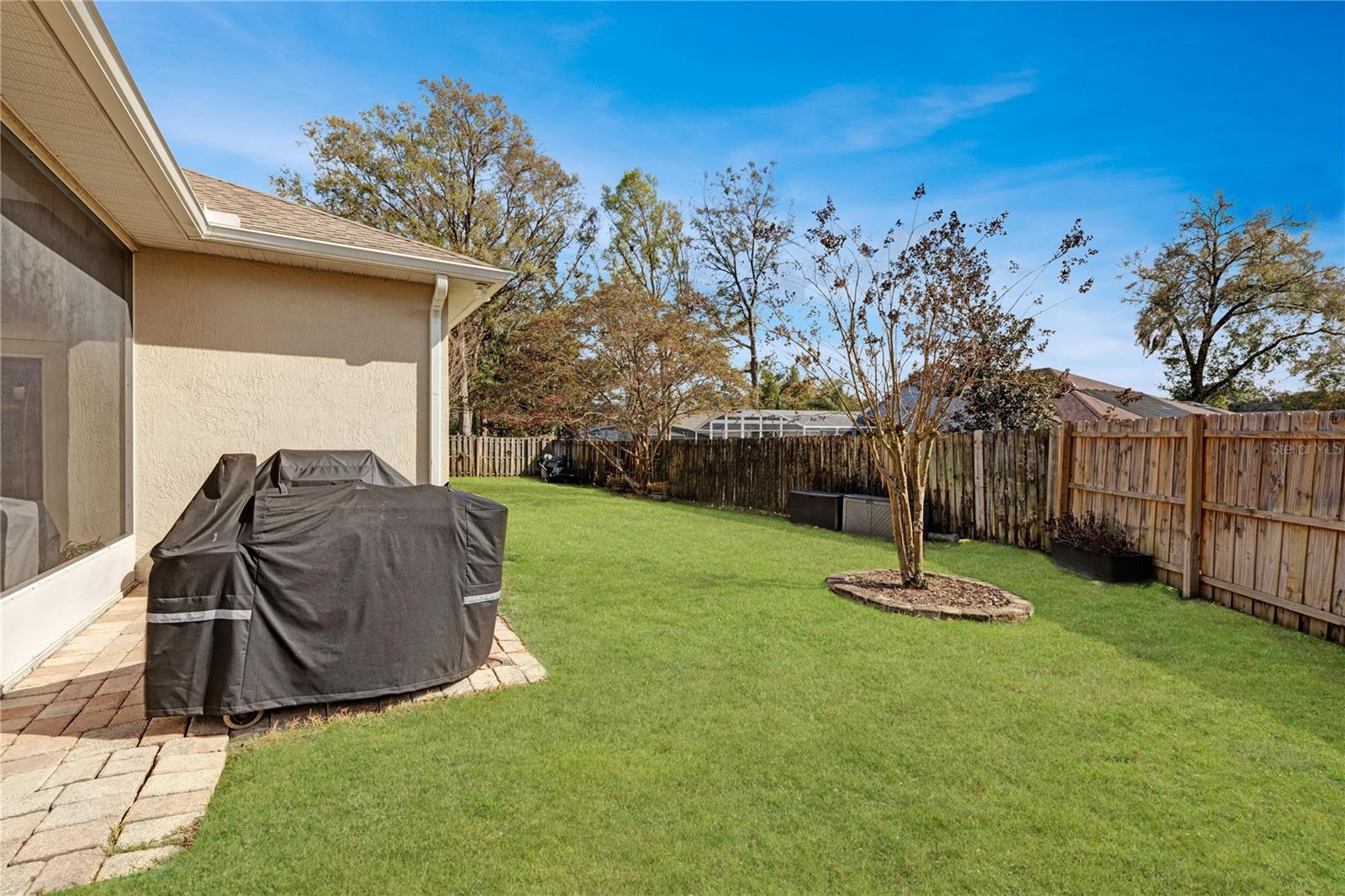 Image 52 of 60 For 1504 Ginger Snap